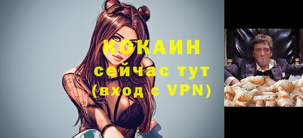 индика Алексин