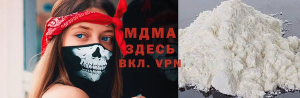 индика Алексин
