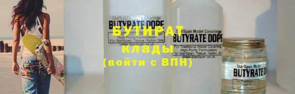 индика Алексин