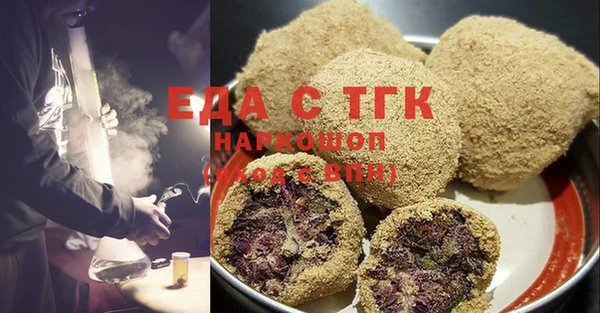 индика Алексин