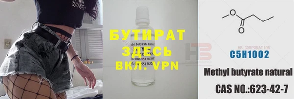 индика Алексин