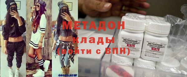 индика Алексин