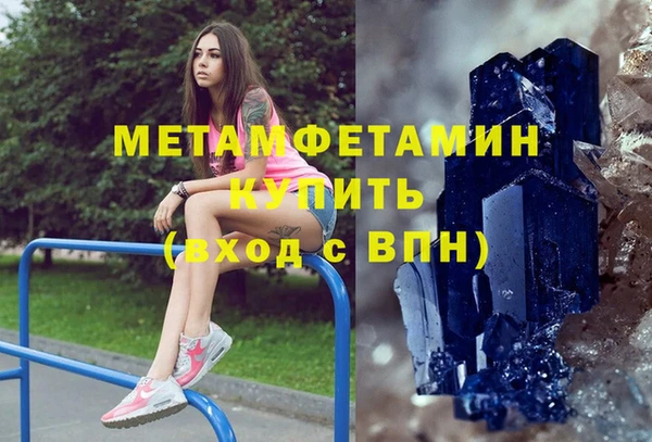 индика Алексин
